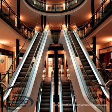 Pasajeros Barato Centro Comercial Interior Mejor Ascensor Escalera Preciosa